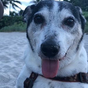 Meet your Posher, Daniela